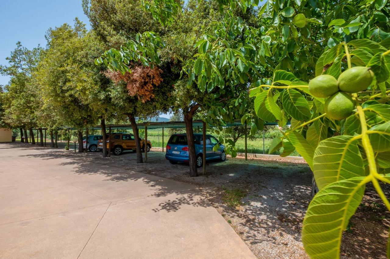 Agriturismo La Fata Grosseto Zewnętrze zdjęcie
