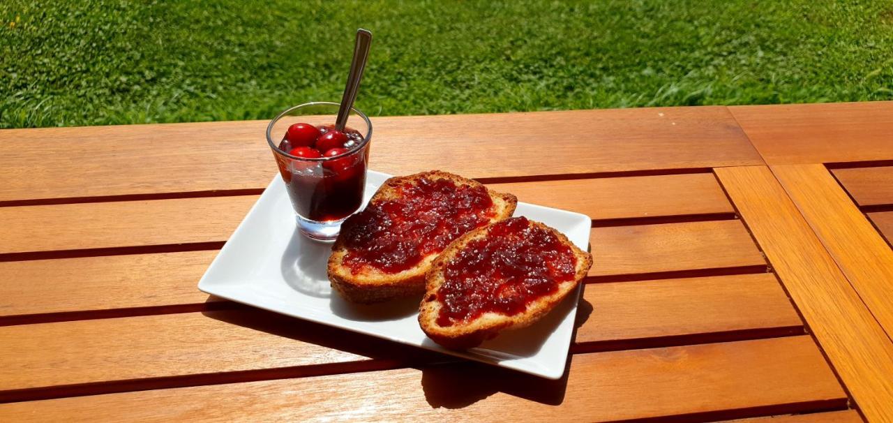Agriturismo La Fata Grosseto Zewnętrze zdjęcie