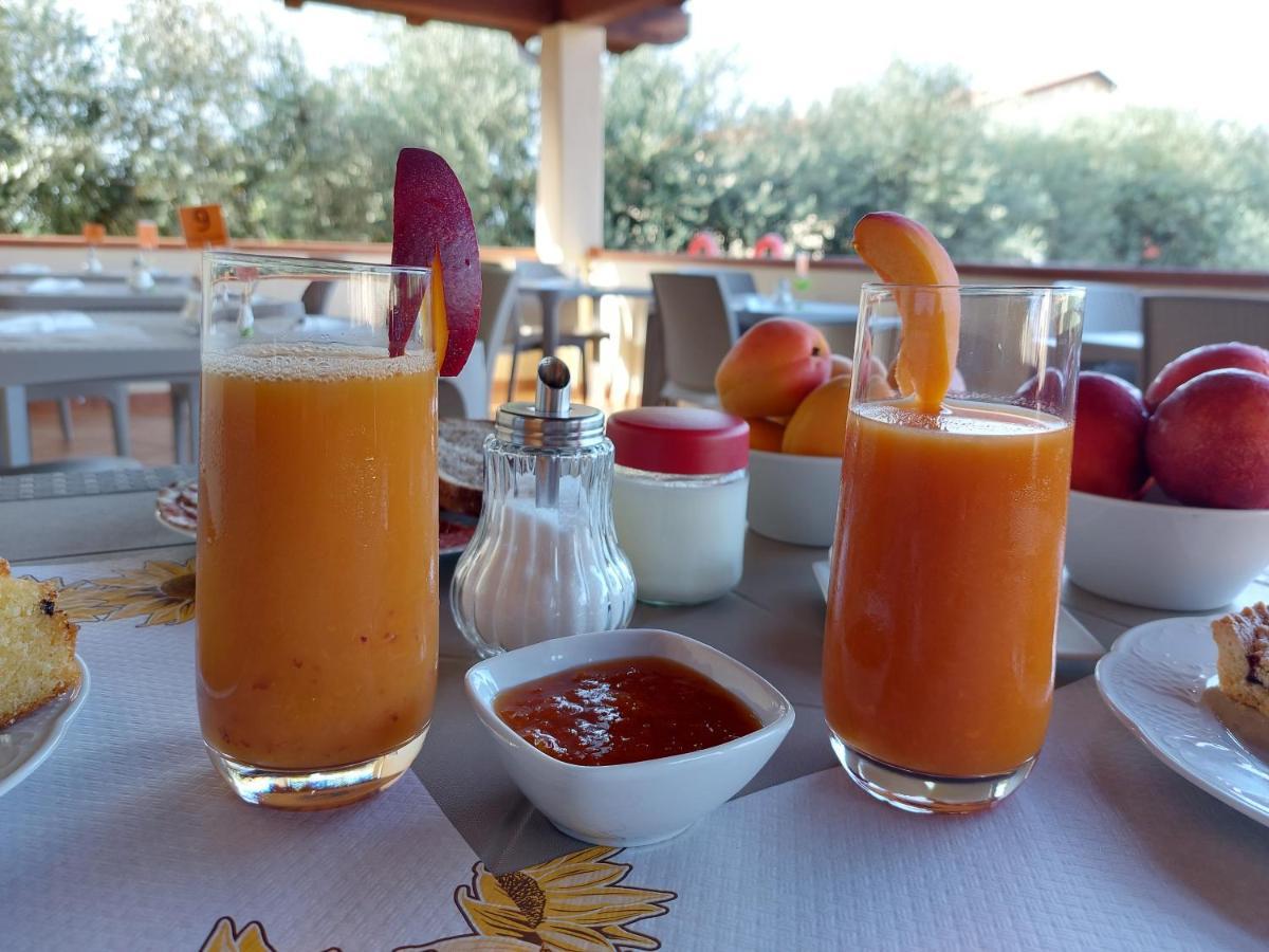 Agriturismo La Fata Grosseto Zewnętrze zdjęcie